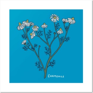 Chamomile flower Posters and Art